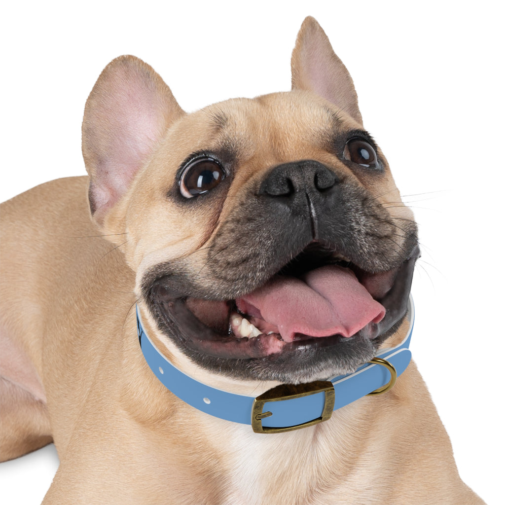 CERTIFIED GOOD BOY -Dog collar