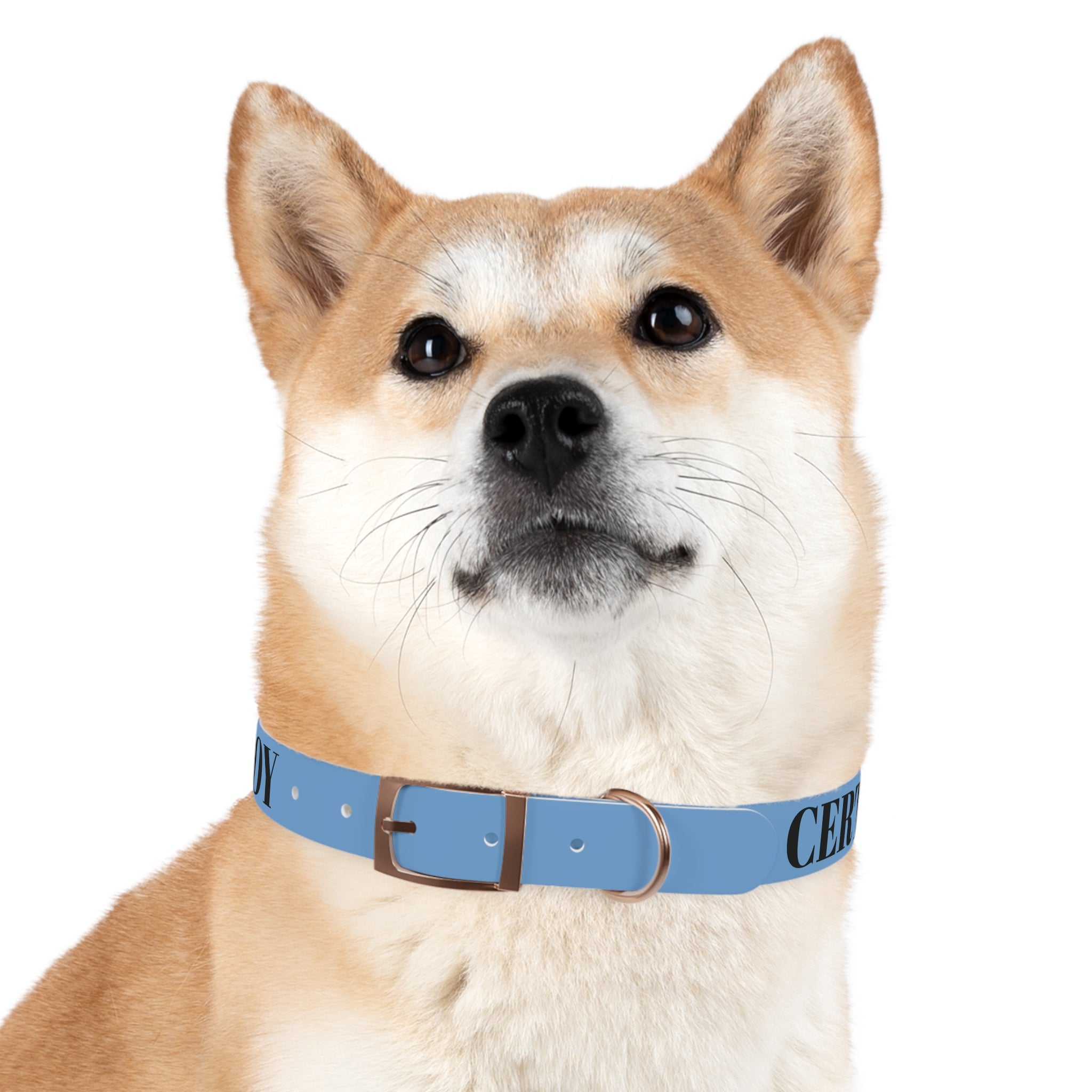 CERTIFIED GOOD BOY -Dog collar