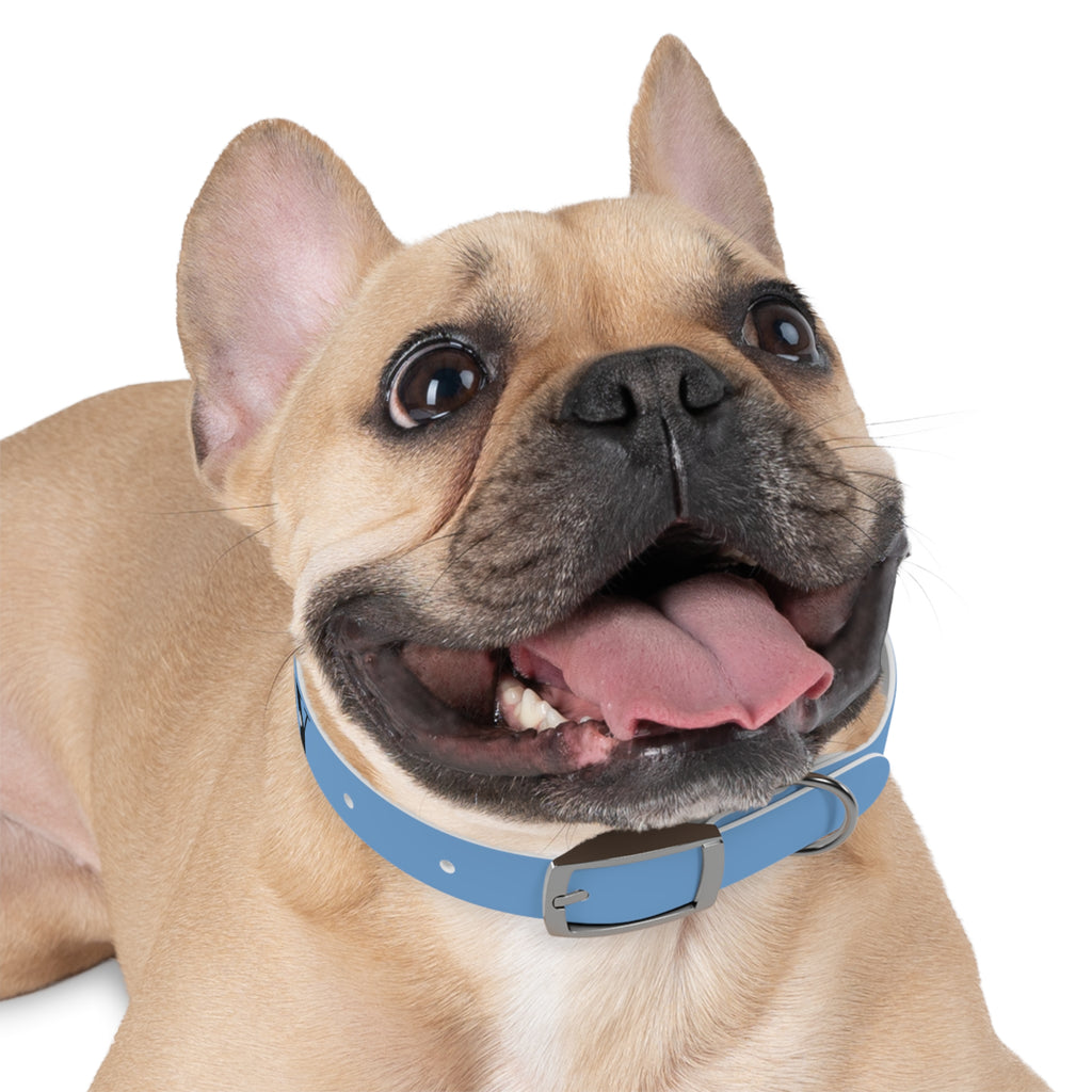 CERTIFIED GOOD BOY -Dog collar