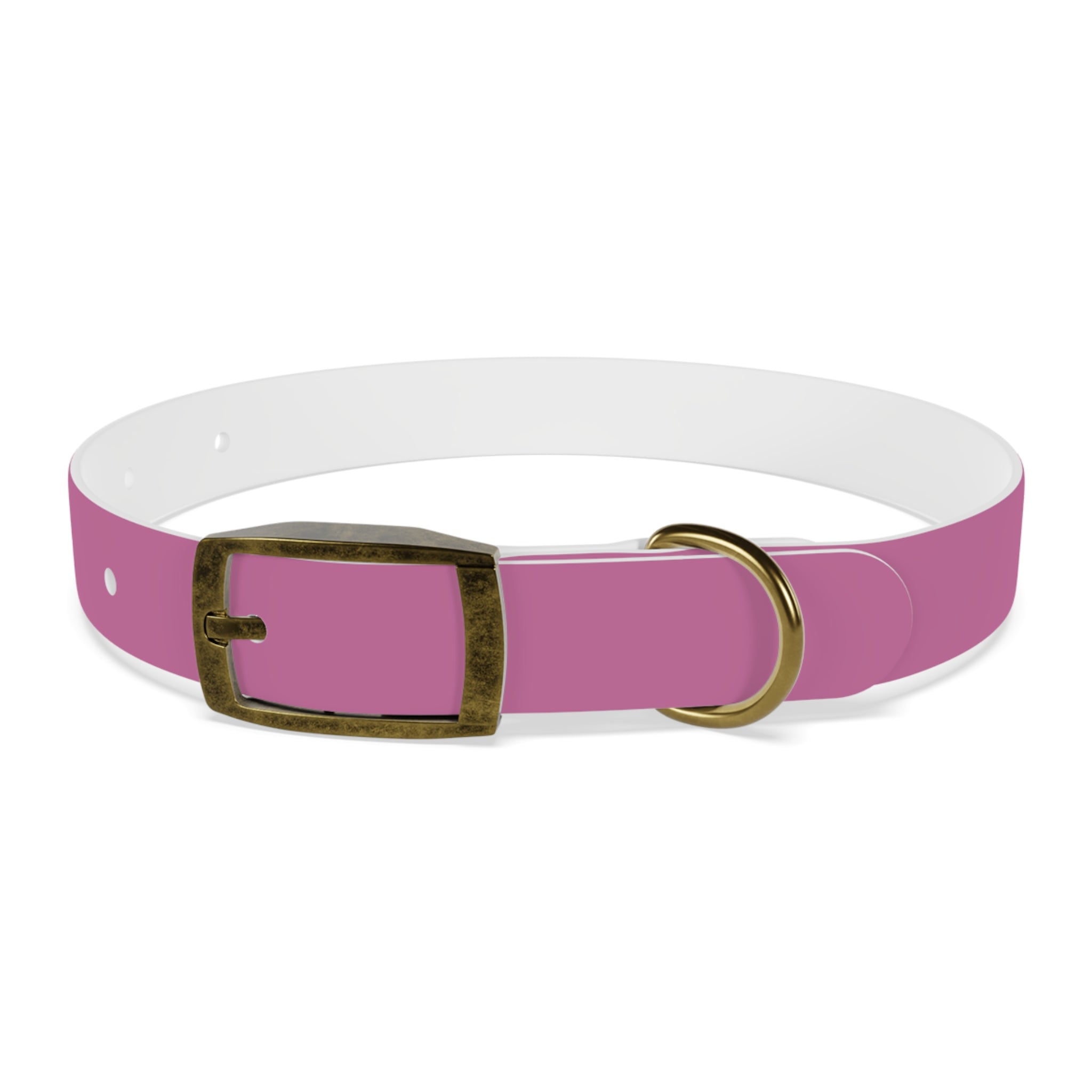 CERTIFIED GOOD GIRL -Dog collar