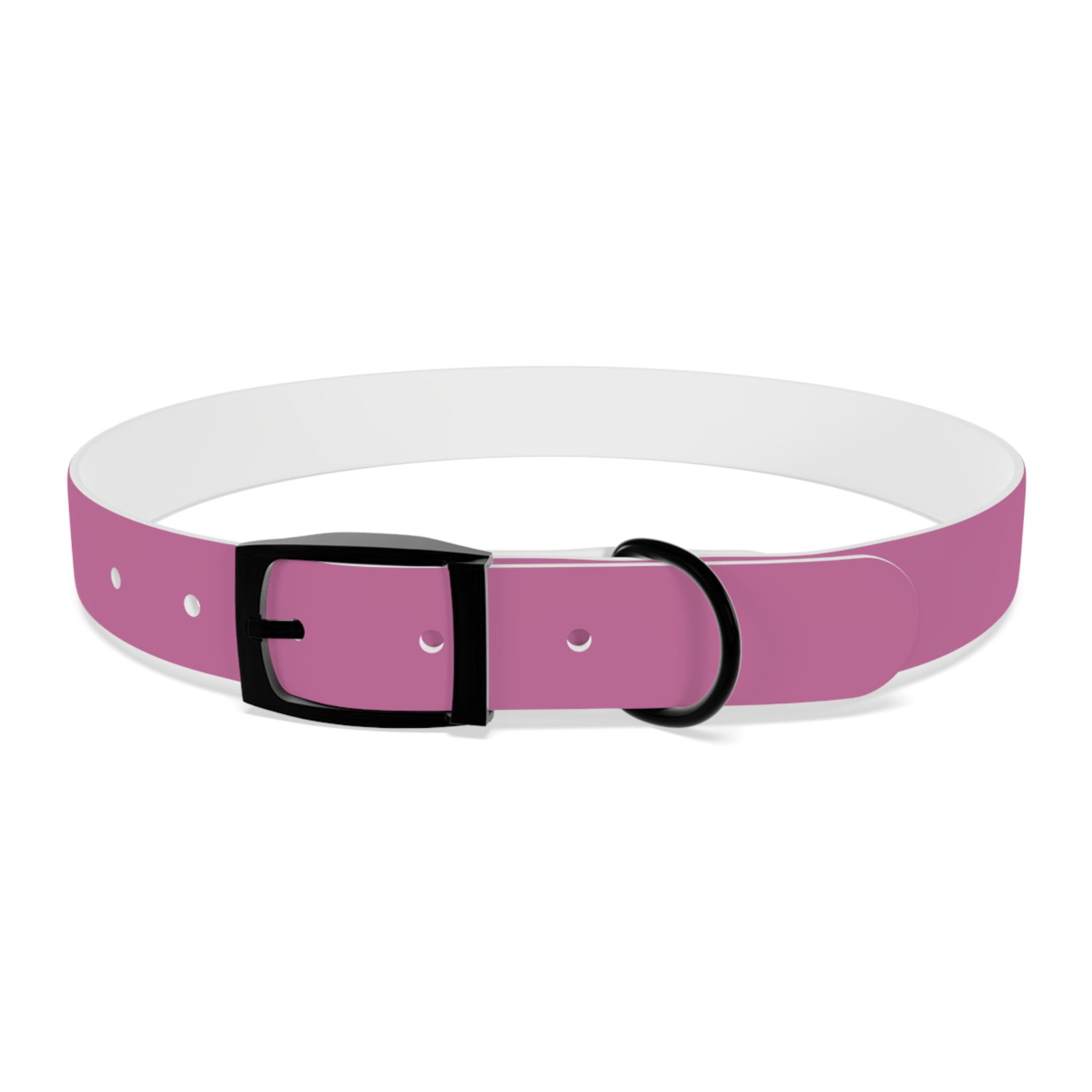 CERTIFIED GOOD GIRL -Dog collar