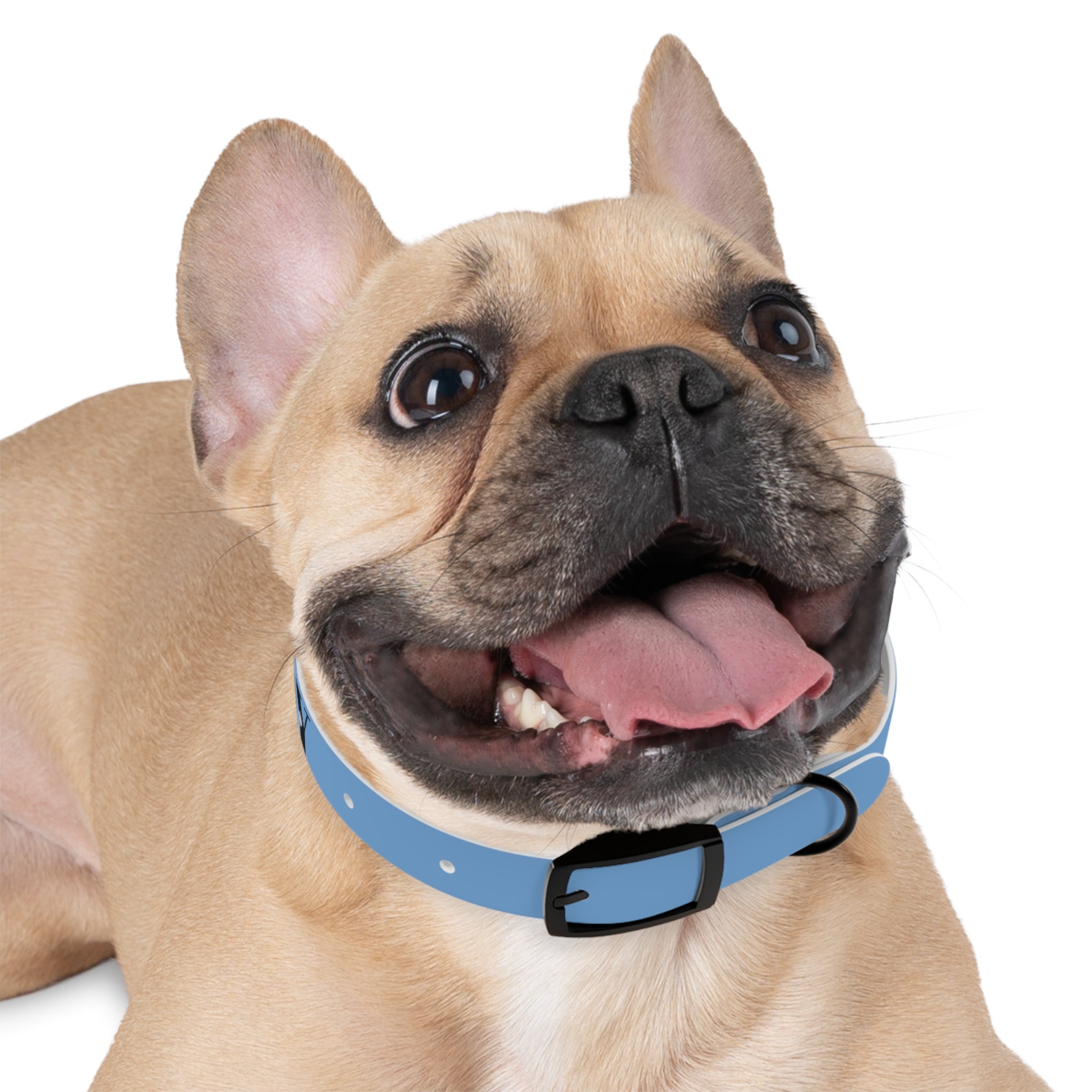 CERTIFIED GOOD BOY -Dog collar
