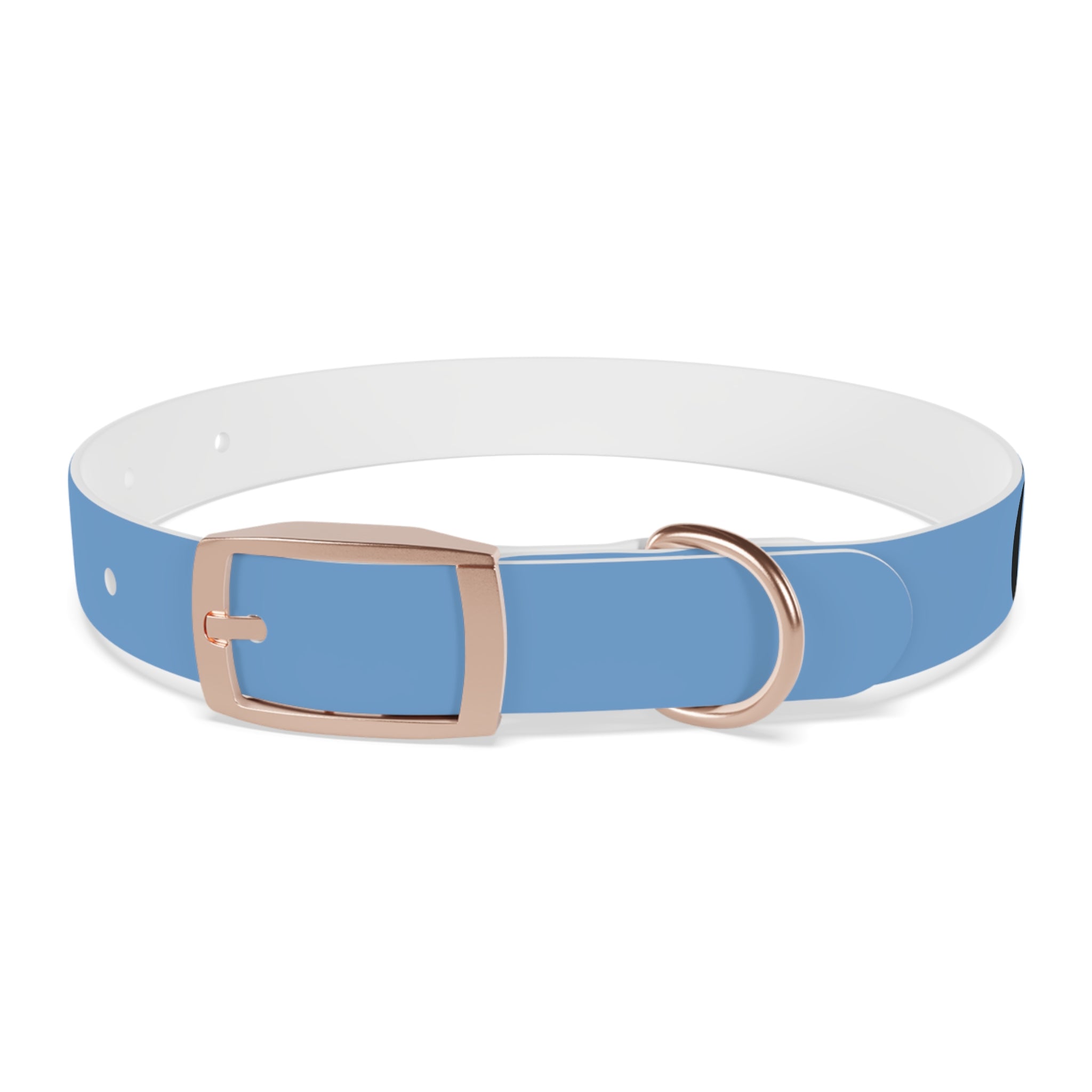 CERTIFIED GOOD BOY -Dog collar