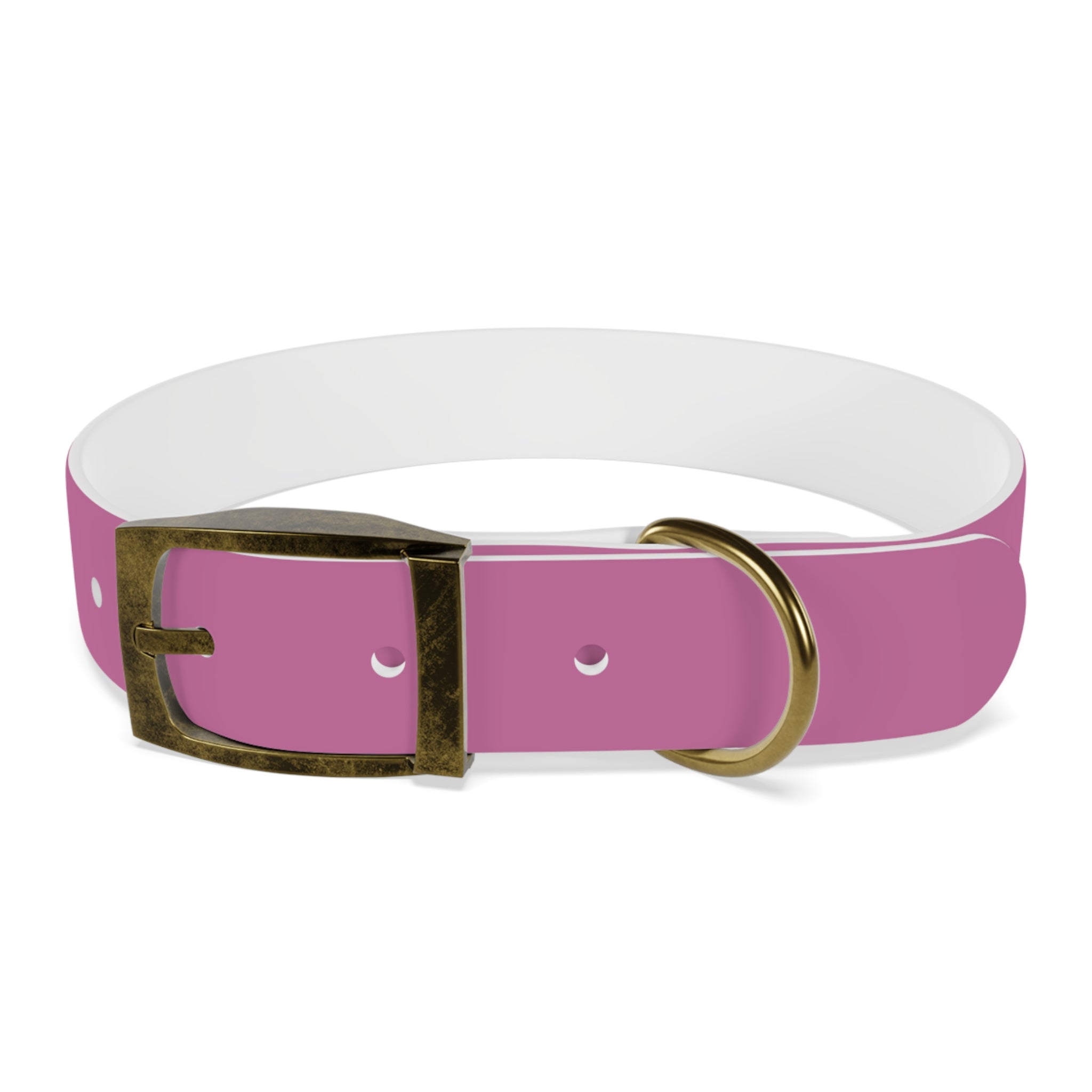 CERTIFIED GOOD GIRL -Dog collar
