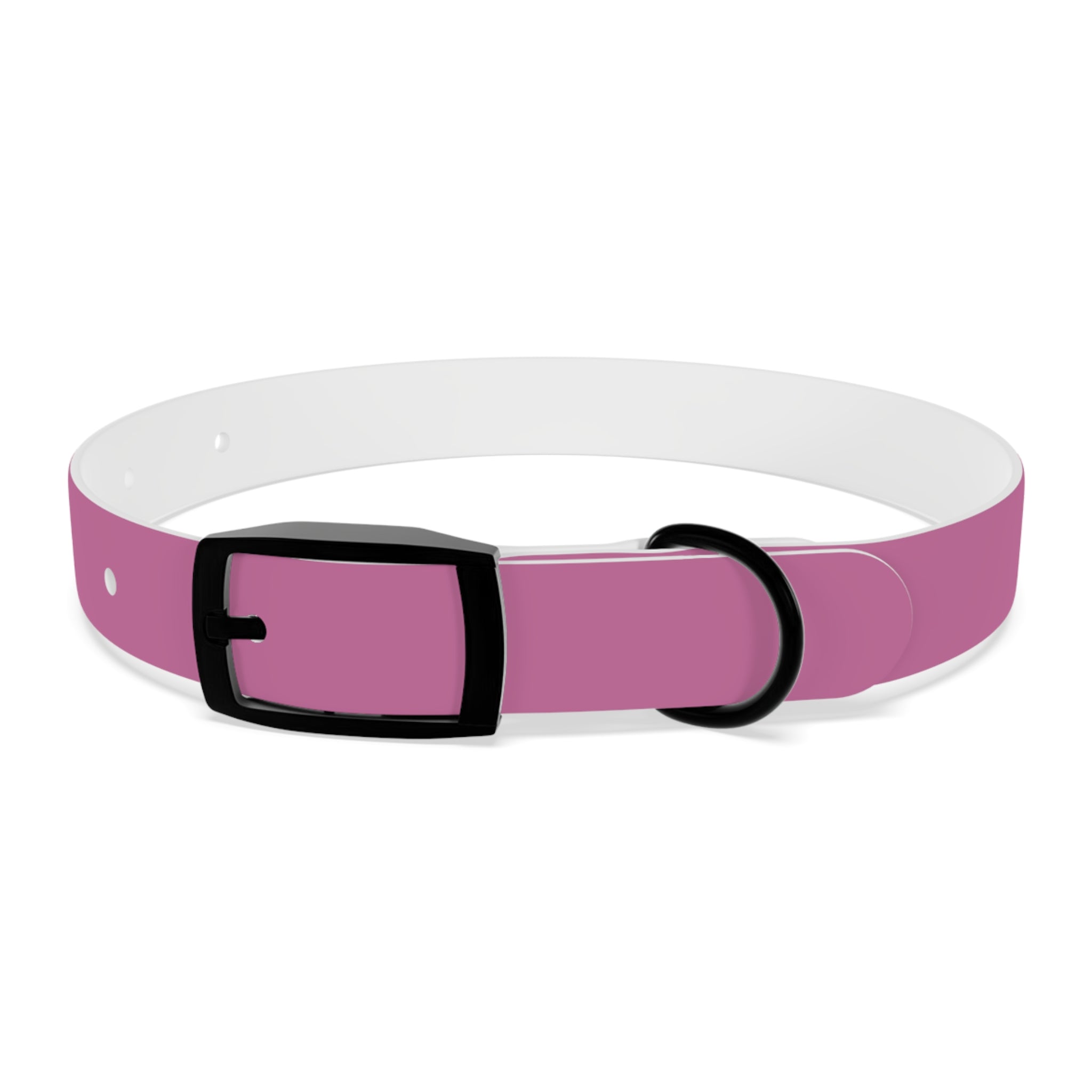 CERTIFIED GOOD GIRL -Dog collar