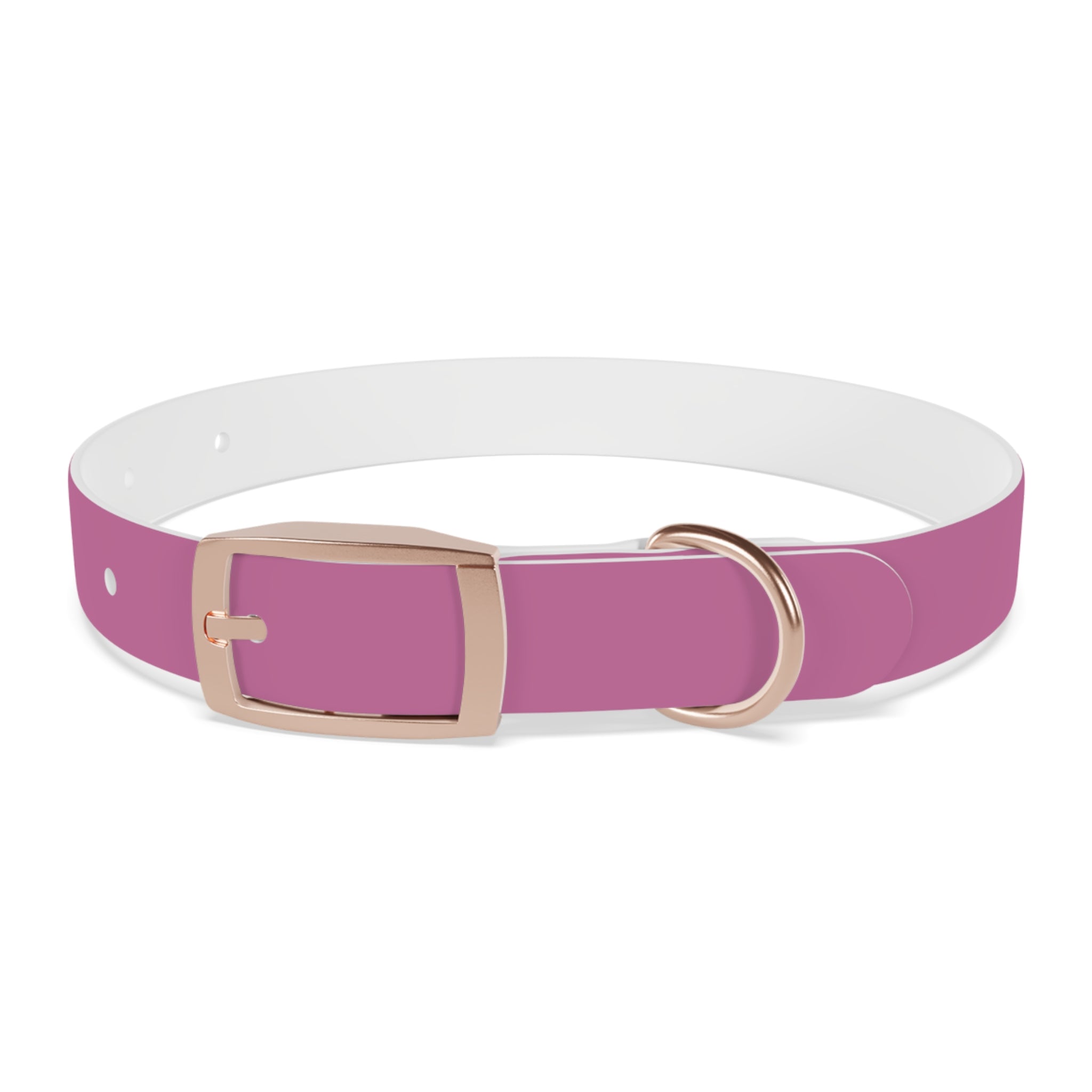 CERTIFIED GOOD GIRL -Dog collar