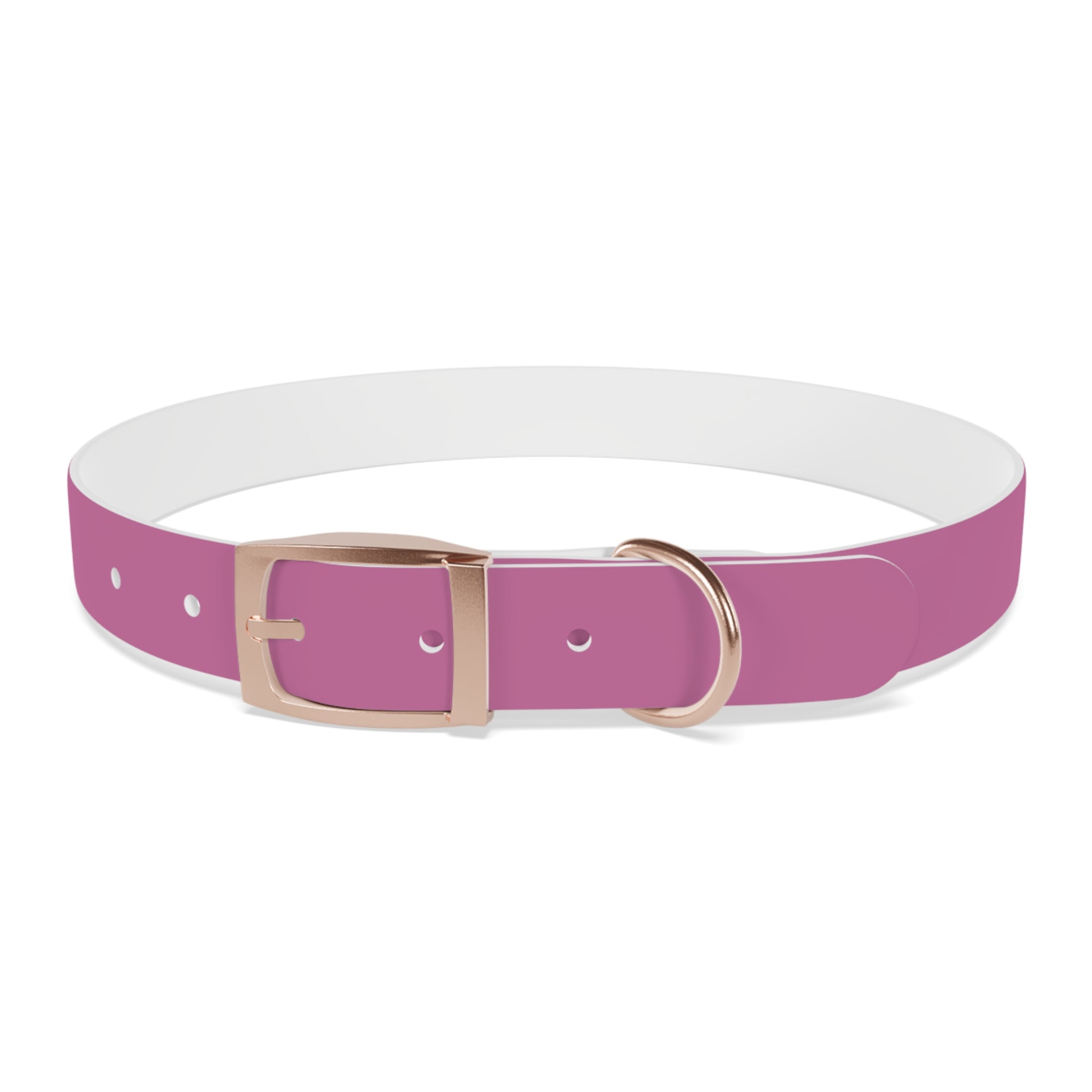 CERTIFIED GOOD GIRL -Dog collar