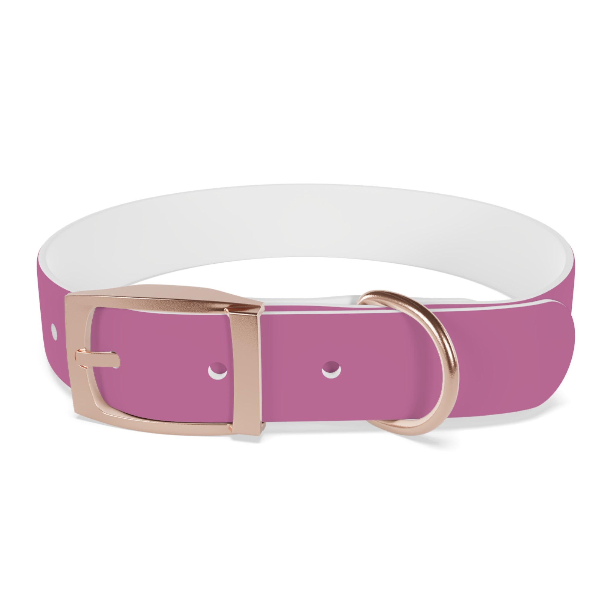 CERTIFIED GOOD GIRL -Dog collar