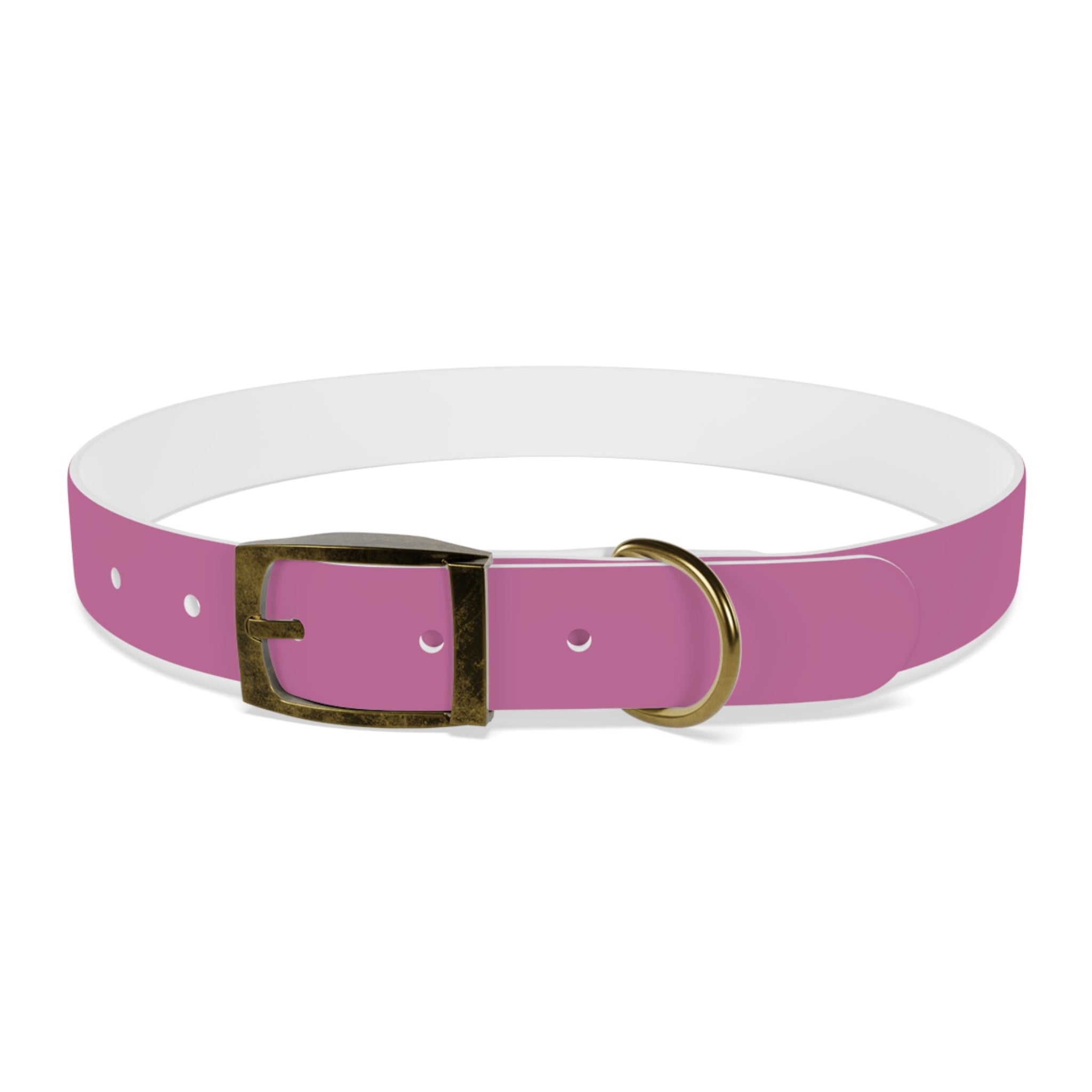 CERTIFIED GOOD GIRL -Dog collar