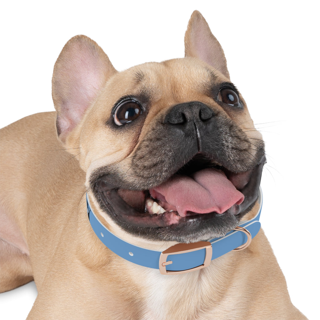 CERTIFIED GOOD BOY -Dog collar