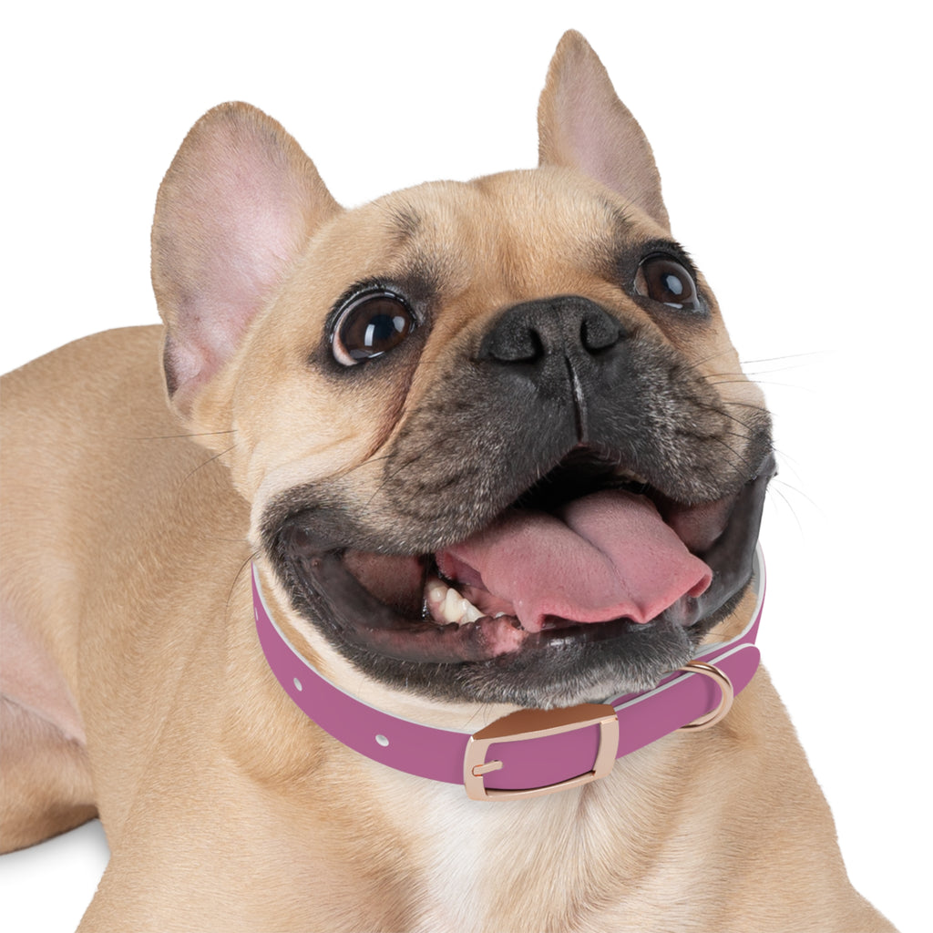 CERTIFIED GOOD GIRL -Dog collar