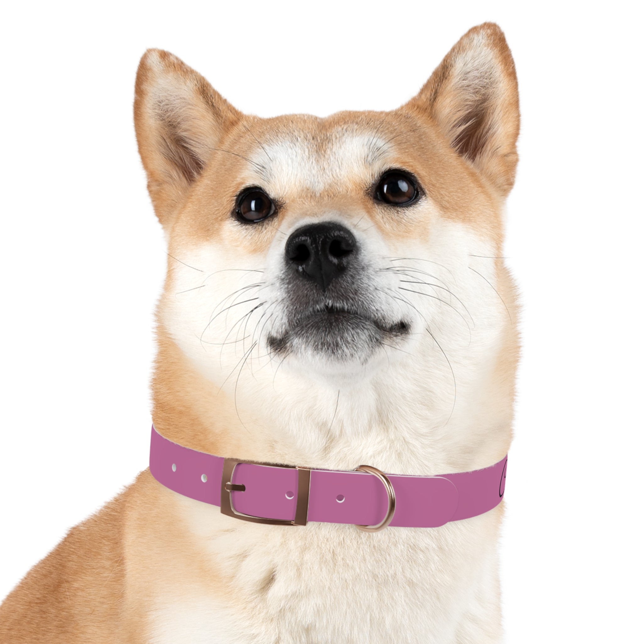 CERTIFIED GOOD GIRL -Dog collar