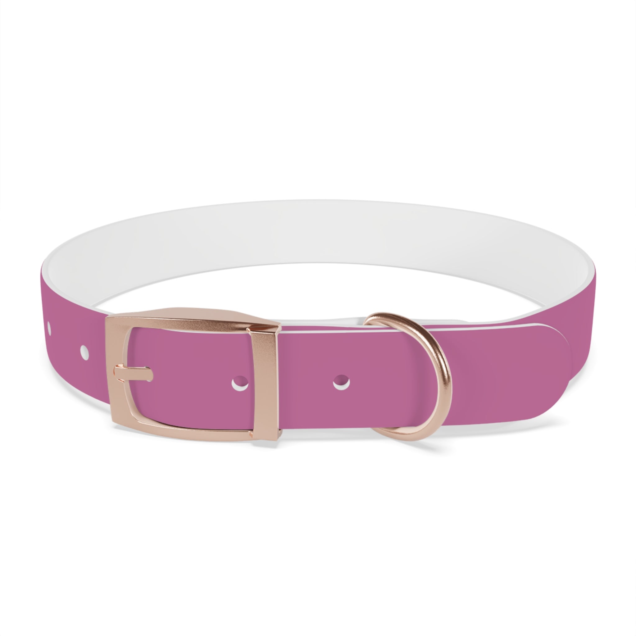 CERTIFIED GOOD GIRL -Dog collar