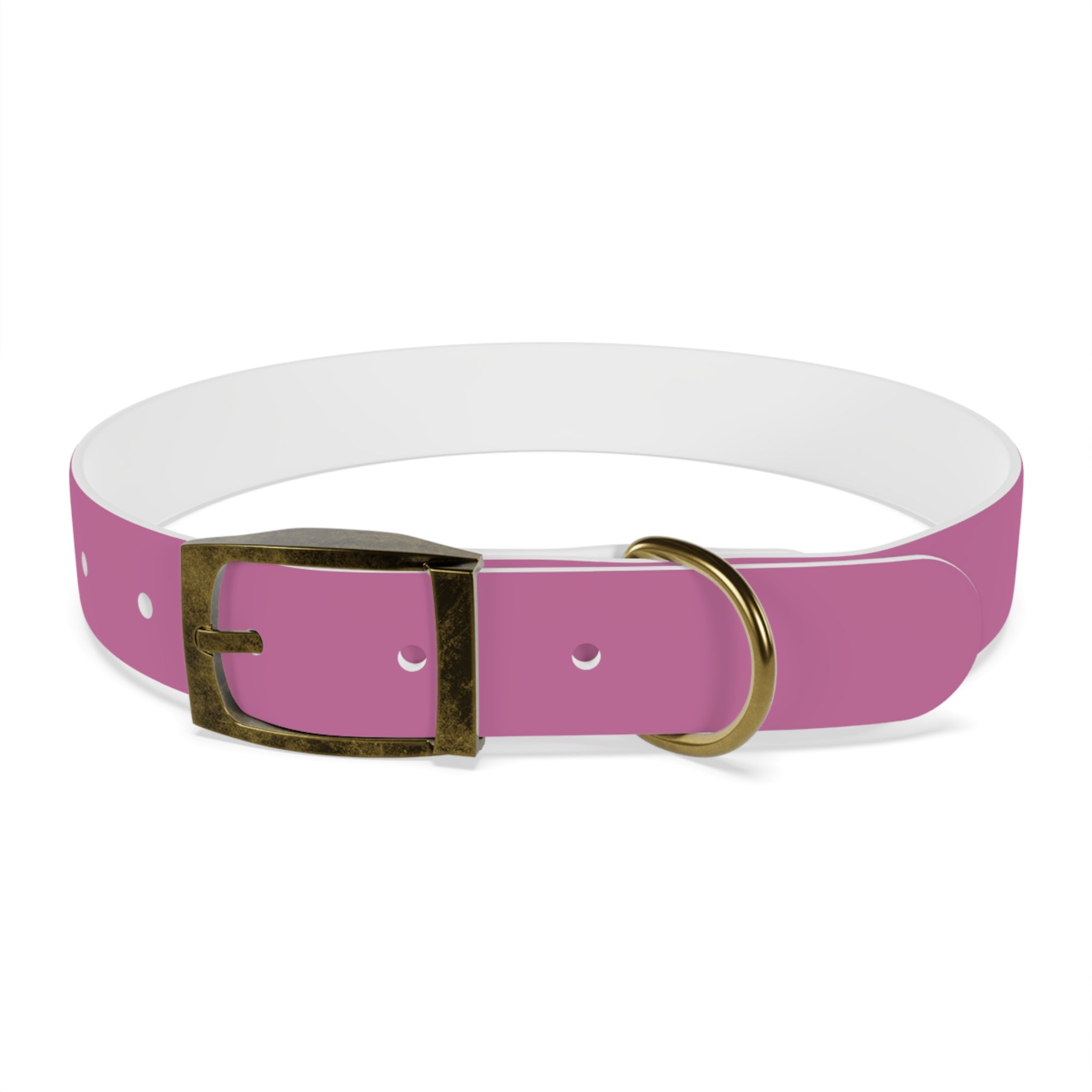 CERTIFIED GOOD GIRL -Dog collar