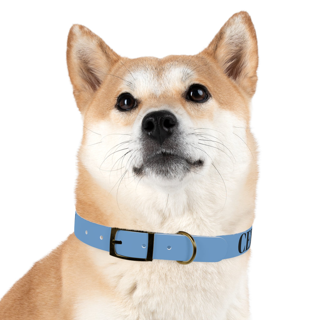 CERTIFIED GOOD BOY -Dog collar