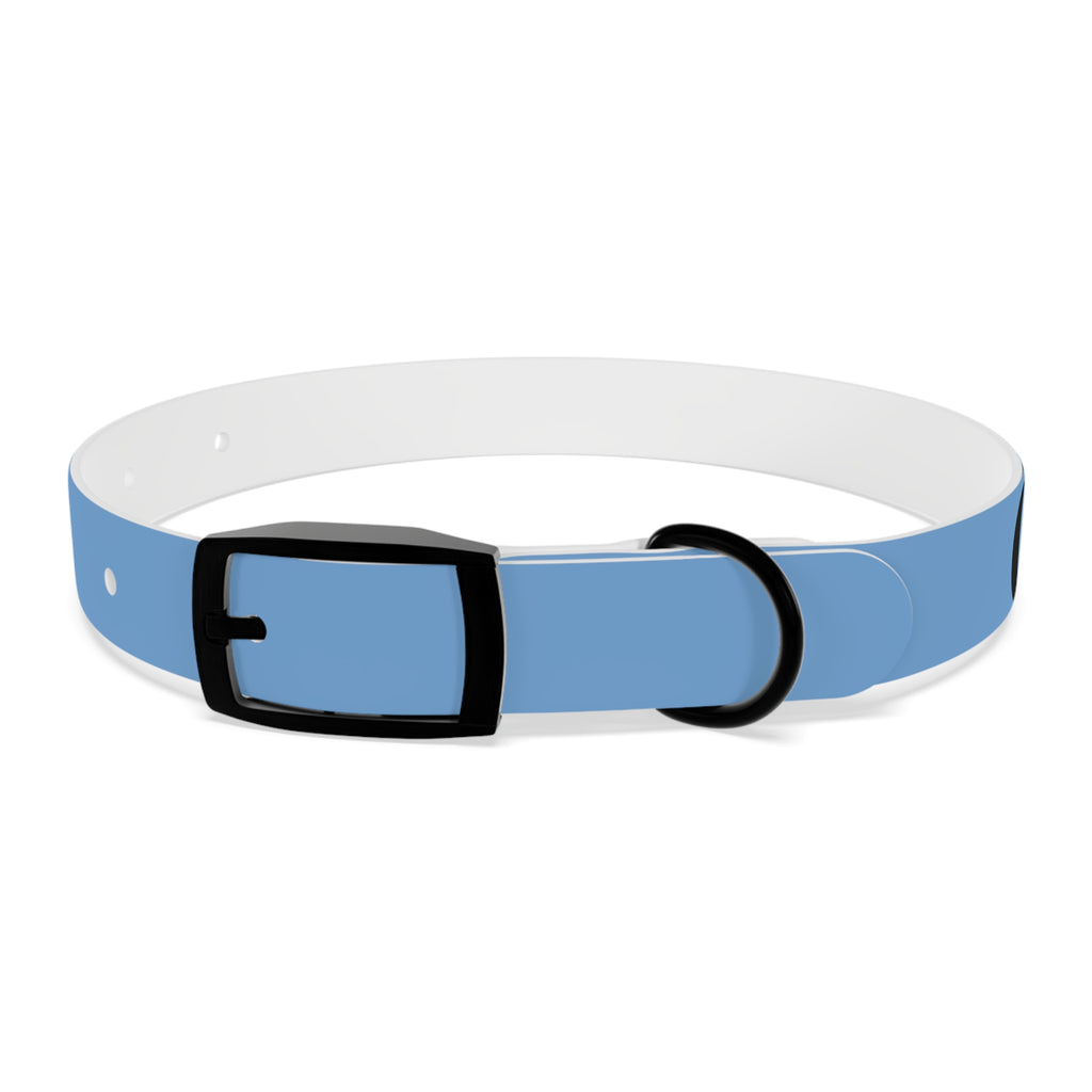 CERTIFIED GOOD BOY -Dog collar