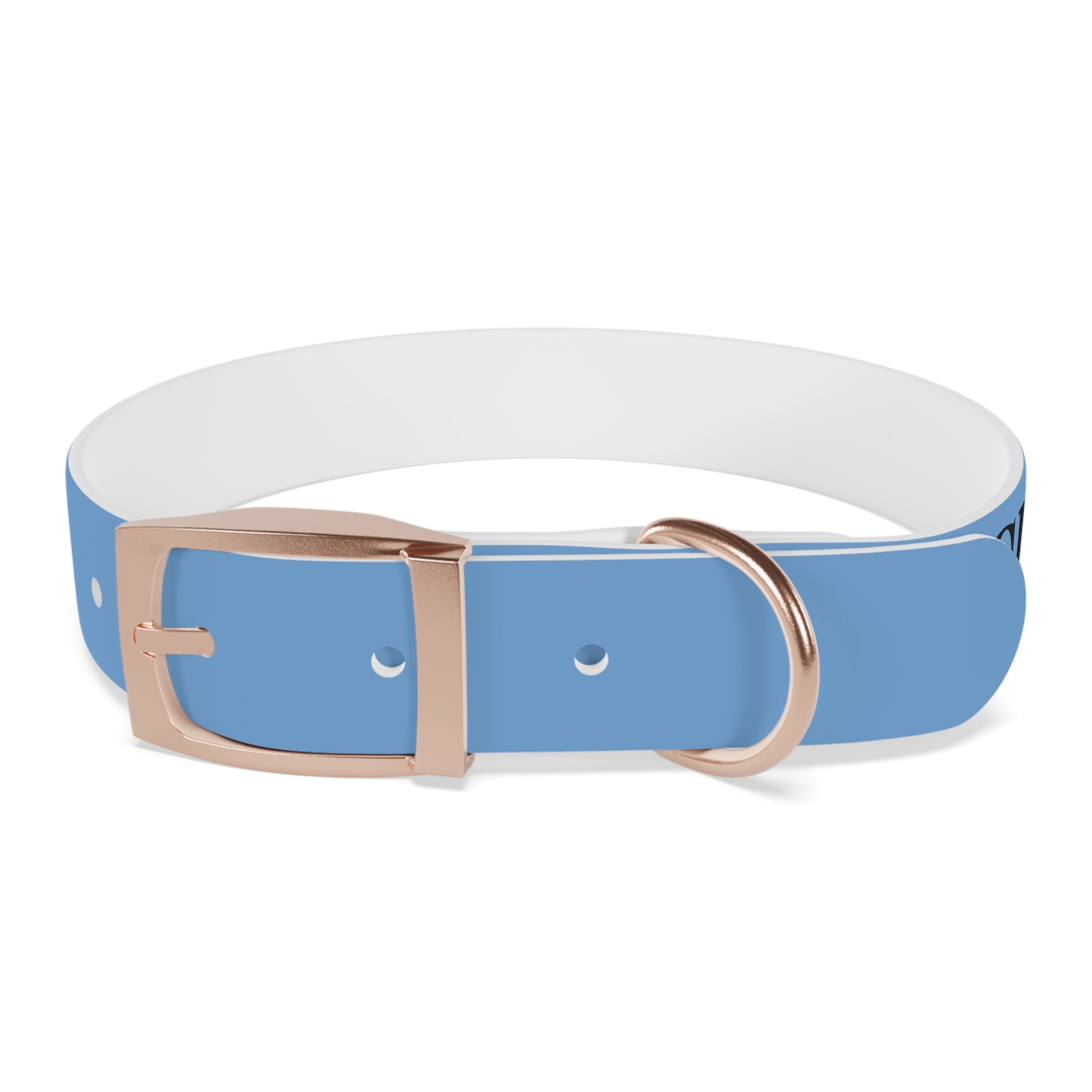 CERTIFIED GOOD BOY -Dog collar