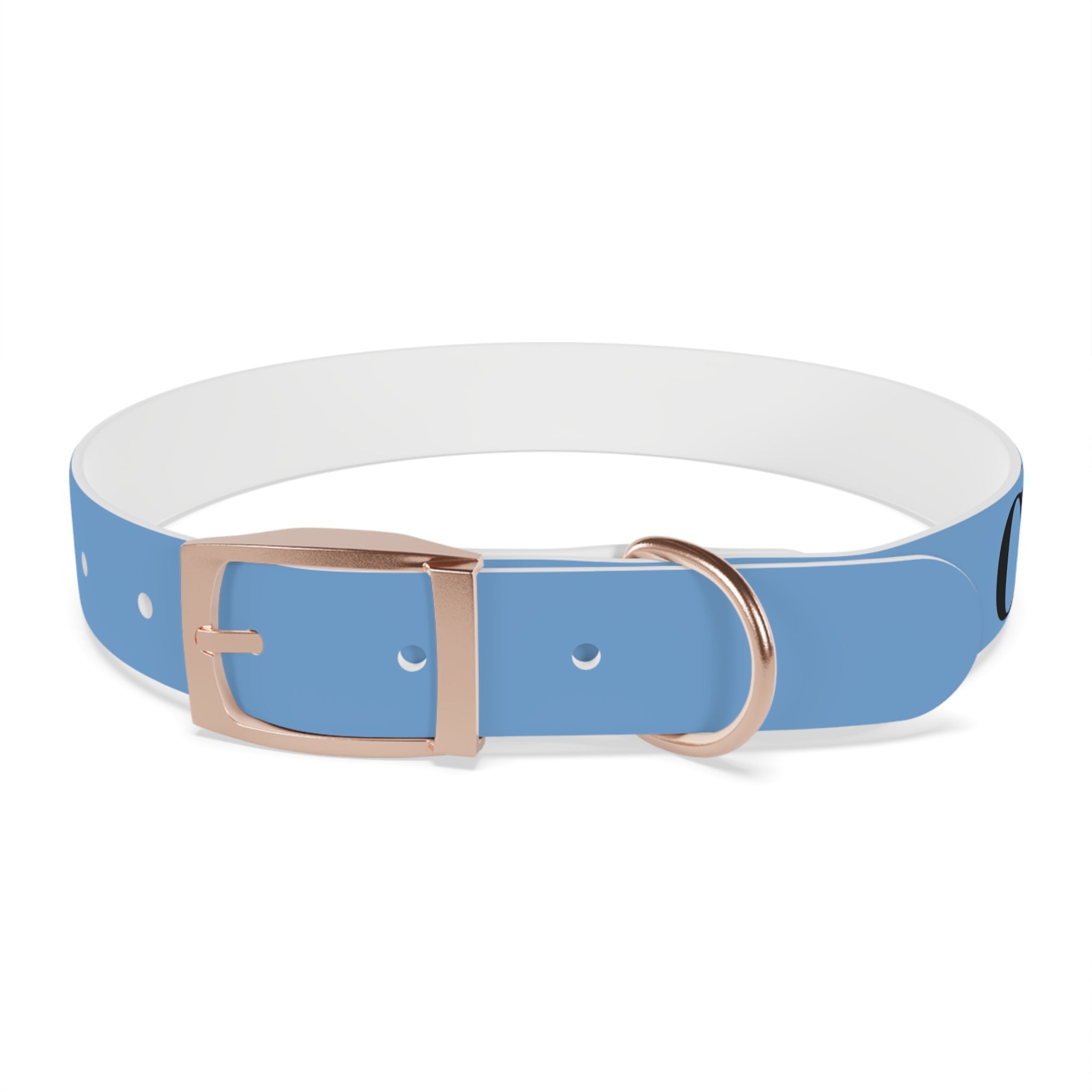 CERTIFIED GOOD BOY -Dog collar